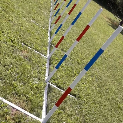 Konkuranseslalom Bing