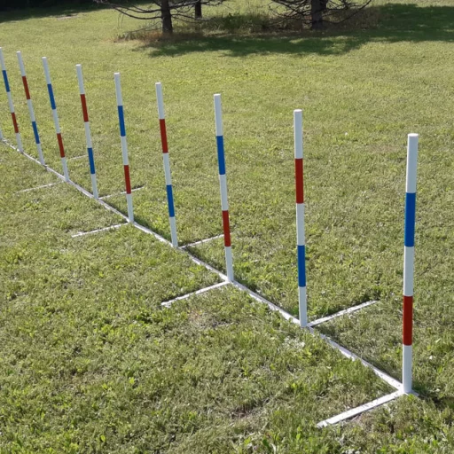 Konkuranseslalom Bing