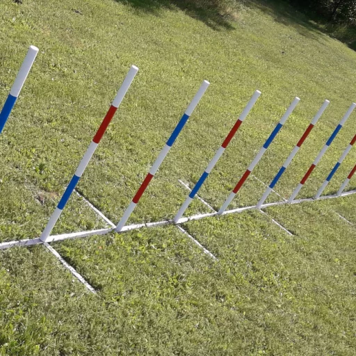 Konkuranseslalom Bing