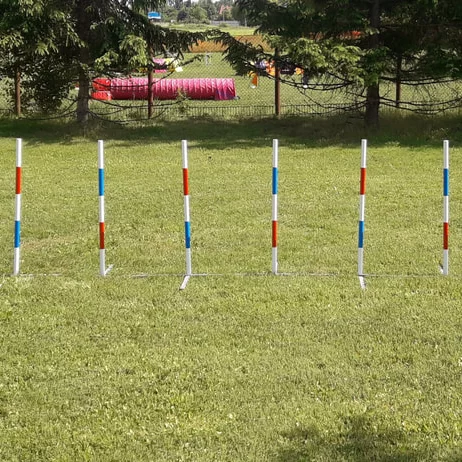 Konkuranseslalom Bing