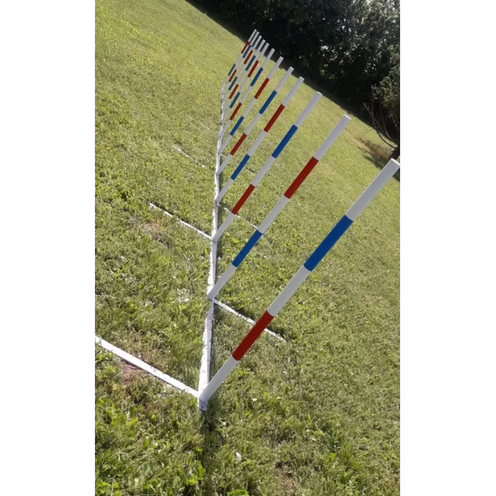 Konkuranseslalom Bing