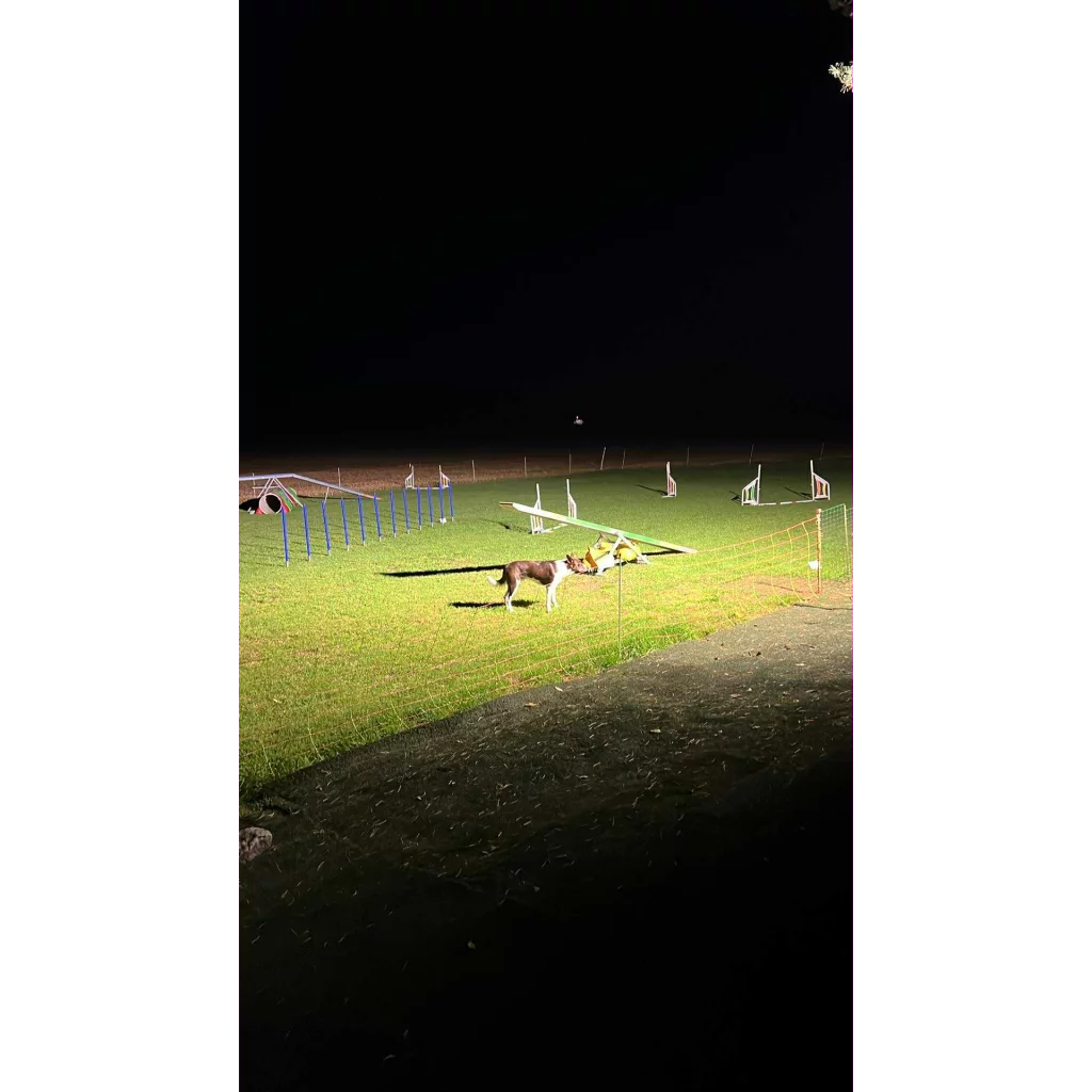 Ledtronic Lyskaster 400 watt