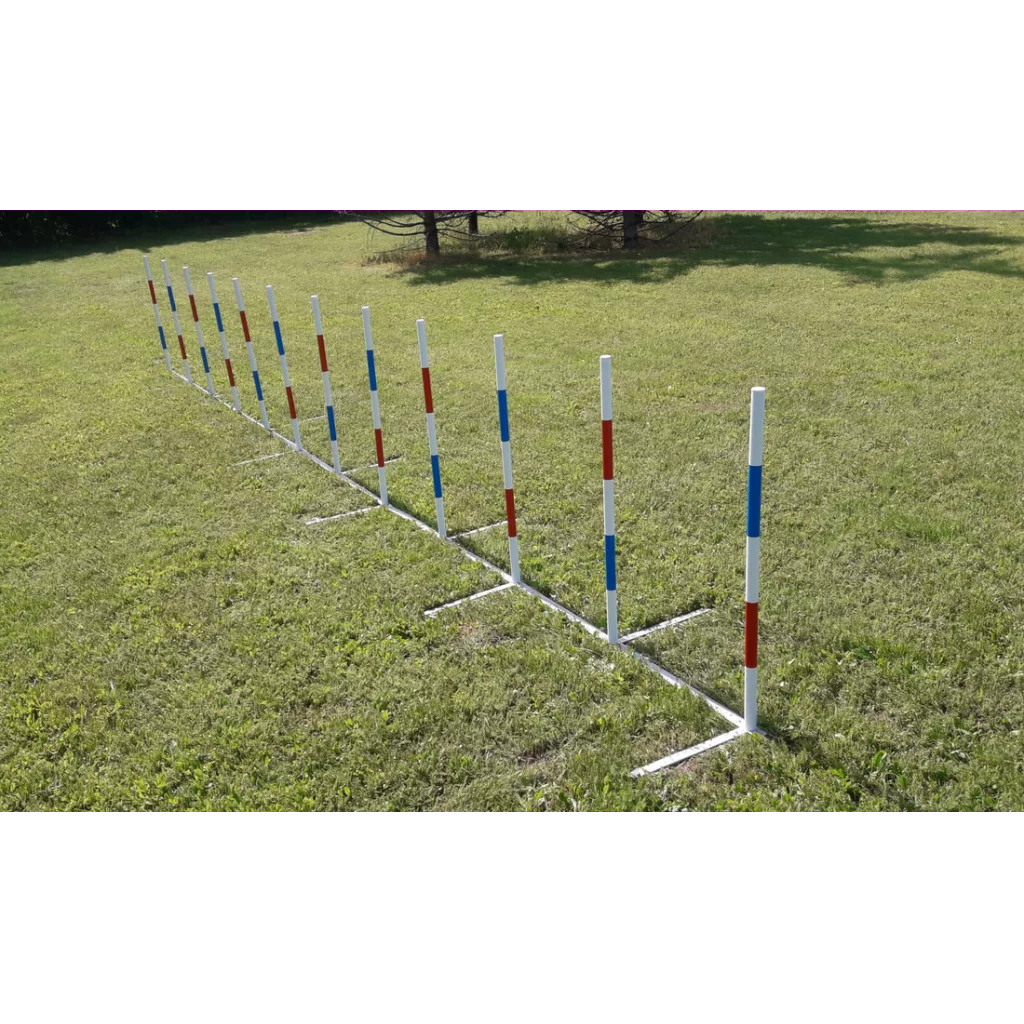 Konkuranseslalom Bing