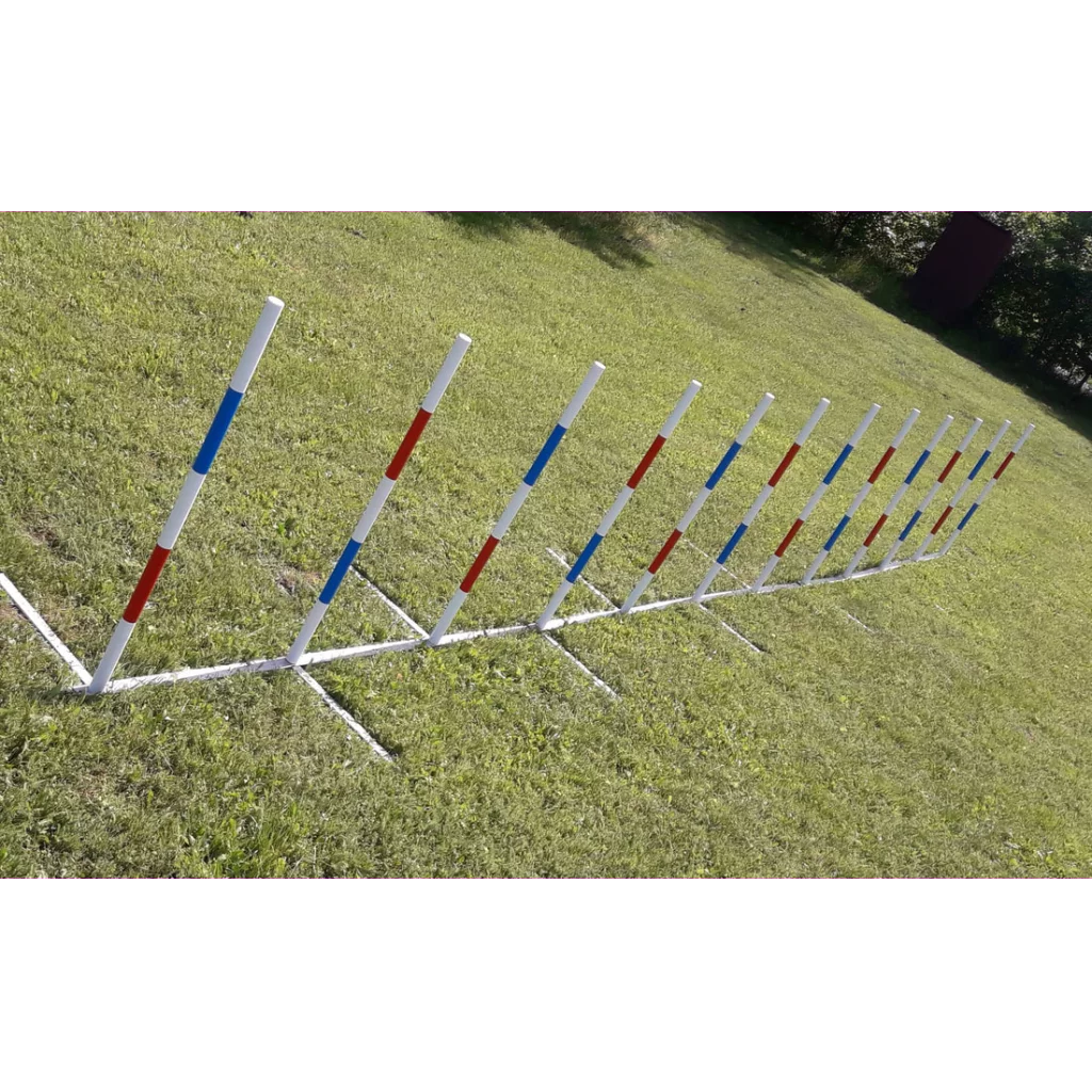 Konkuranseslalom Bing