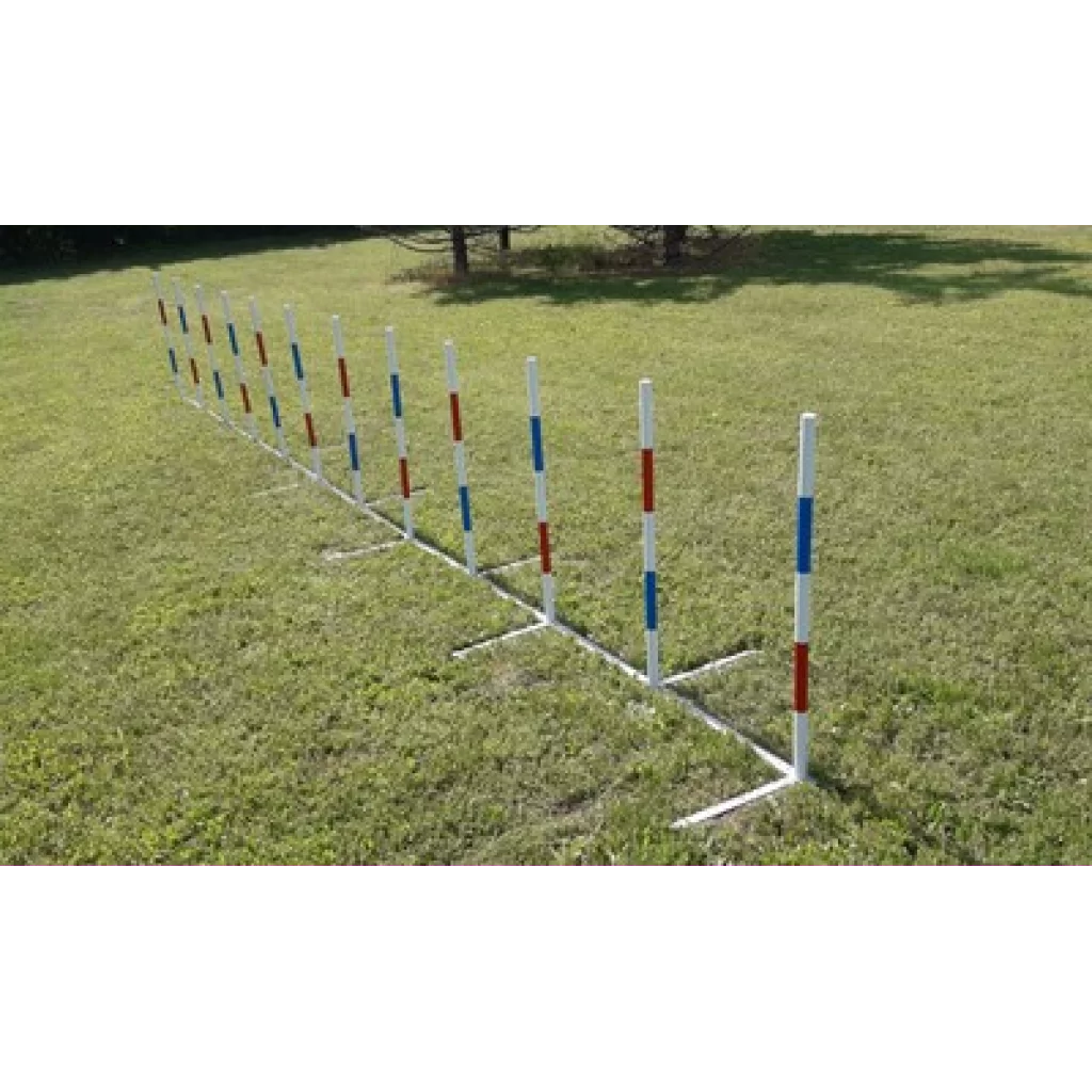 Konkuranseslalom Bing