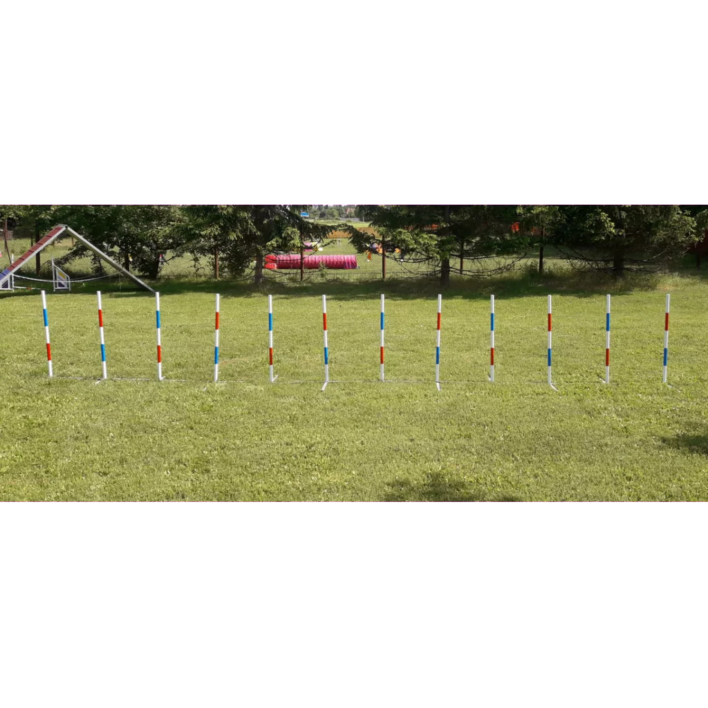 Konkuranseslalom Bing